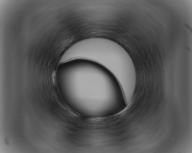 X0000092030094200709061359