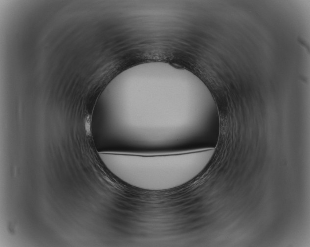 X0000092030095200709061359