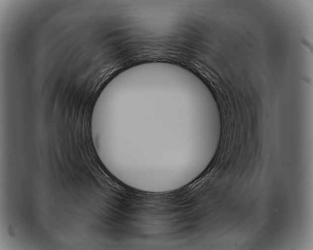 X0000092030096200709061359