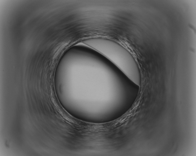 X0000092030097200709061359
