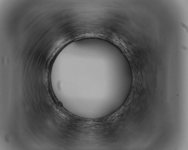 X0000092030098200709061359