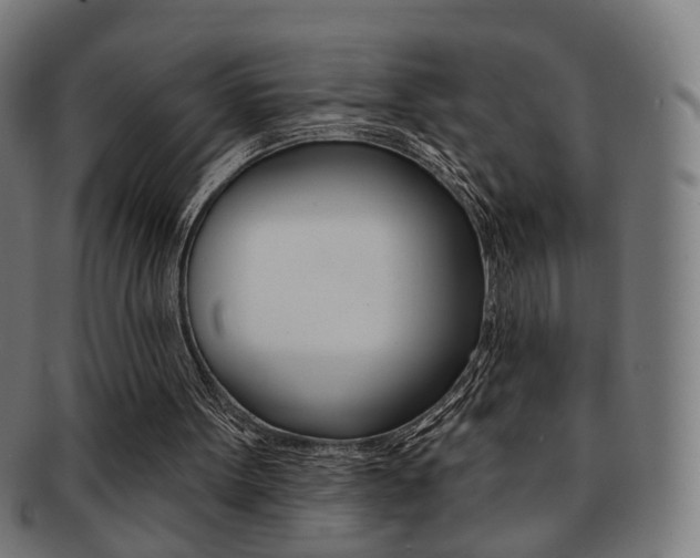X0000092030099200709061359