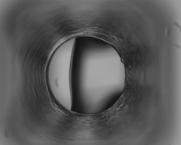 X0000092030100200709061359
