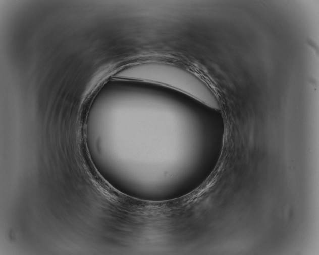 X0000092030101200709061359
