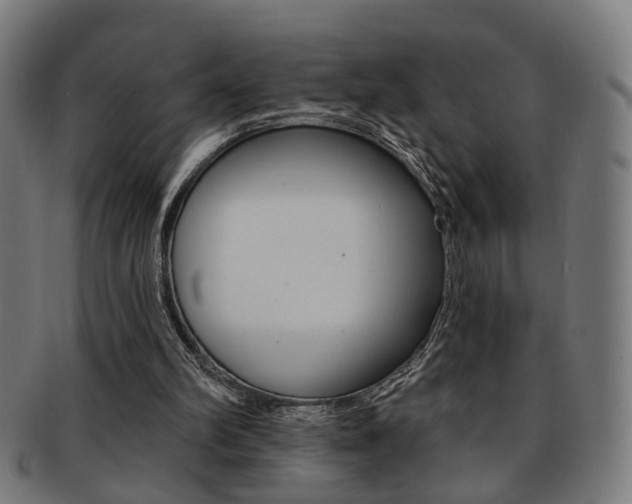 X0000092030102200709061359