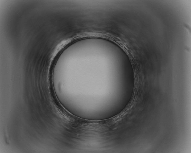 X0000092030104200709061359