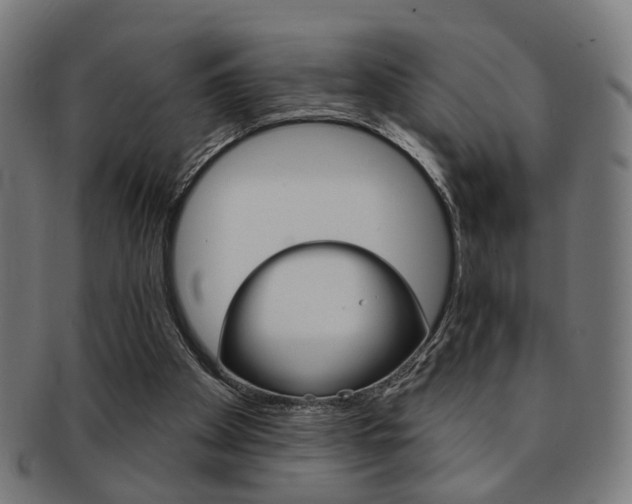 X0000092030105200709061359