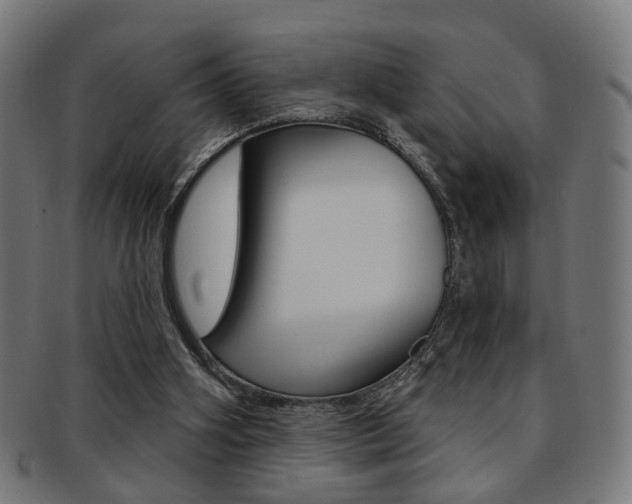 X0000092030106200709061359