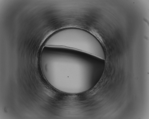 X0000092030108200709061359