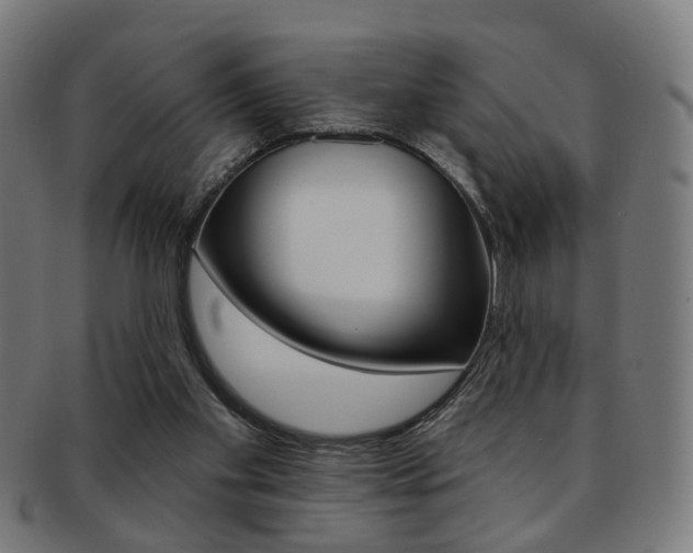 X0000092030109200709061359