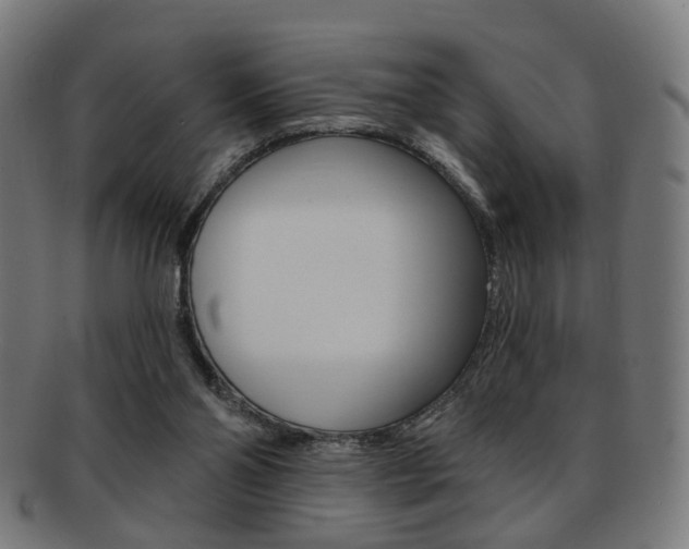 X0000092030110200709061358