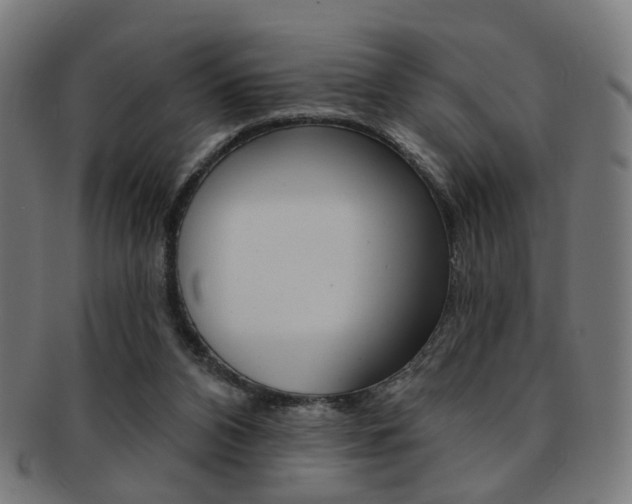X0000092030112200709061358