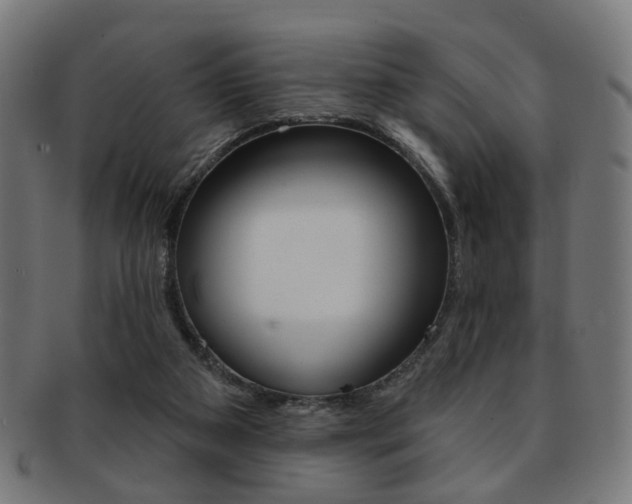 X0000092030113200709061358