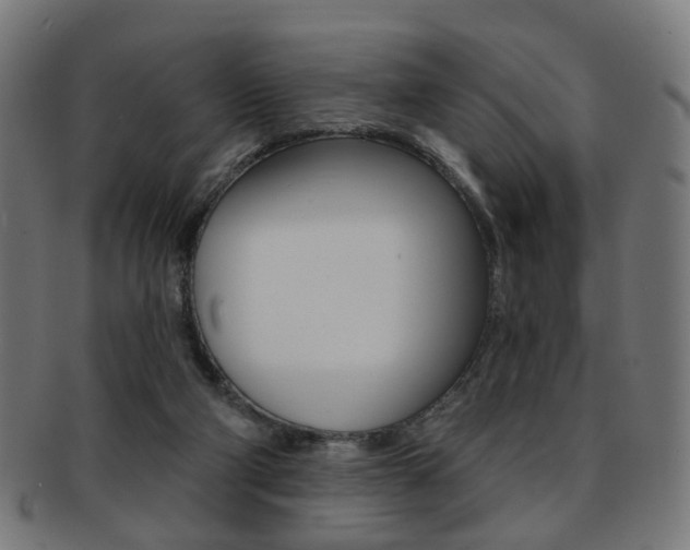 X0000092030114200709061358