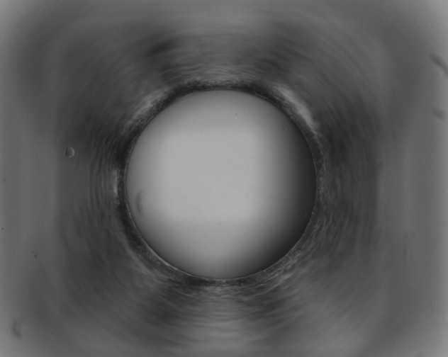 X0000092030115200709061358
