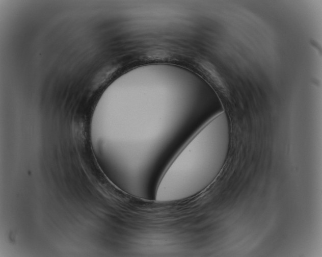 X0000092030116200709061358