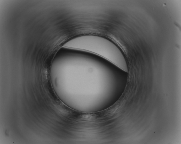 X0000092030117200709061358