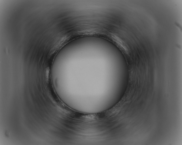 X0000092030118200709061358