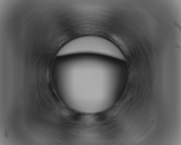 X0000092030121200709061358