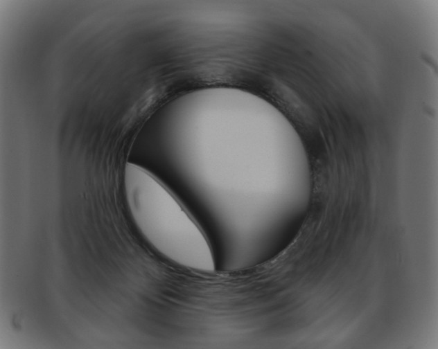 X0000092030124200709061358