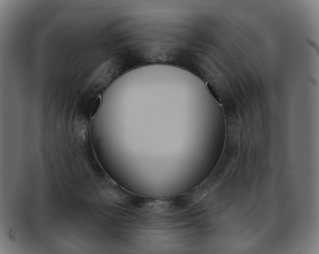 X0000092030125200709061358
