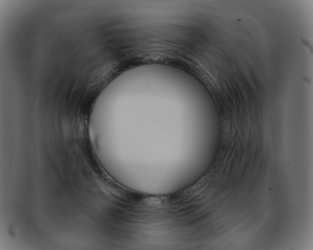 X0000092030126200709061358