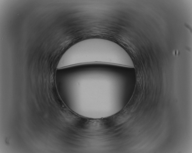 X0000092030127200709061358