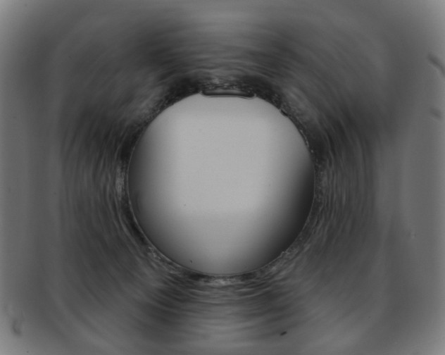 X0000092030129200709061358