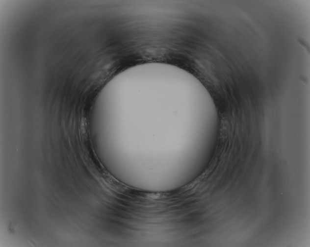 X0000092030130200709061358