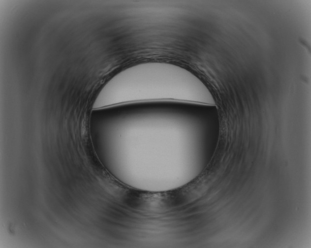 X0000092030131200709061358