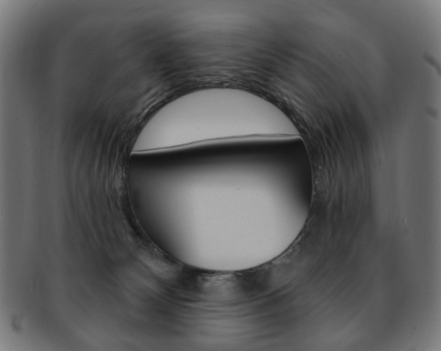 X0000092030132200709061358