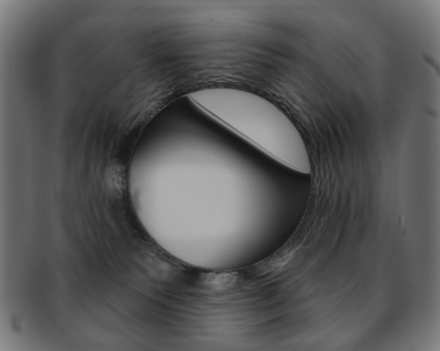 X0000092030135200709061358
