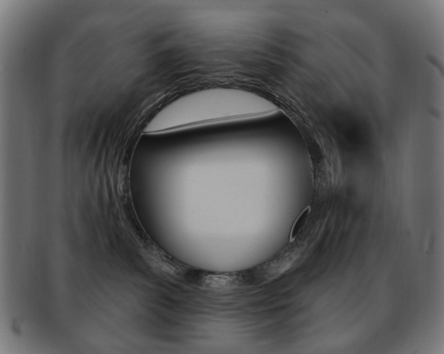 X0000092030139200709061358