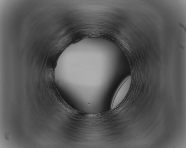 X0000092030141200709061358