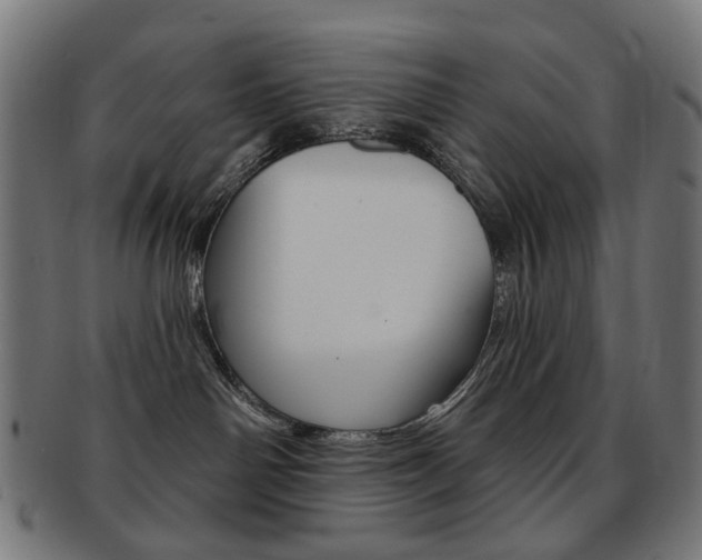 X0000092030142200709061358