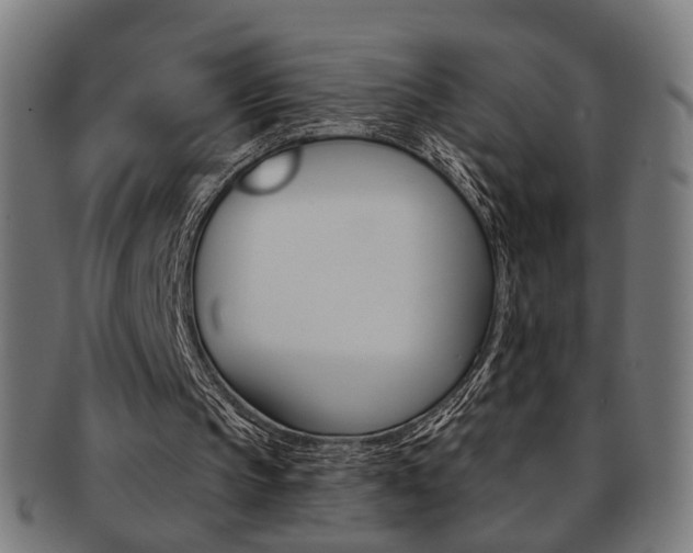 X0000092030145200709061358