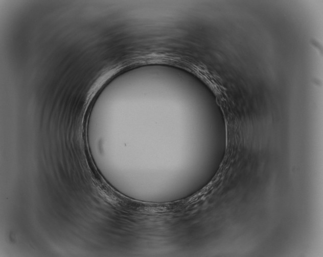 X0000092030147200709061358