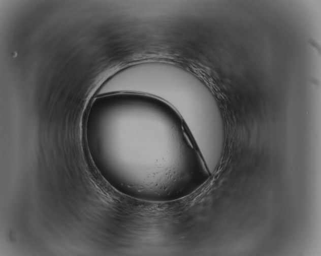 X0000092030148200709061358