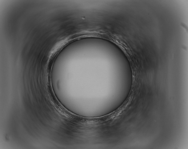X0000092030149200709061358