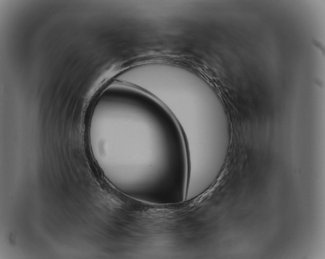 X0000092030150200709061358