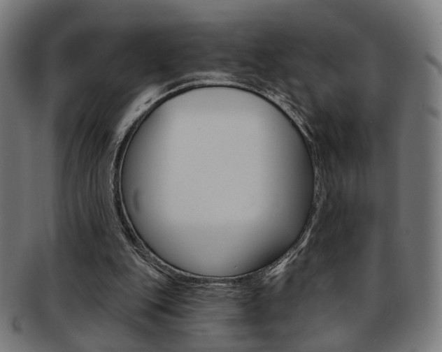 X0000092030151200709061358