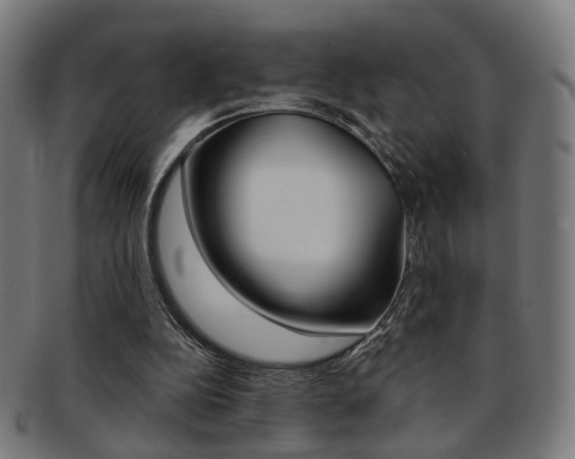X0000092030152200709061358
