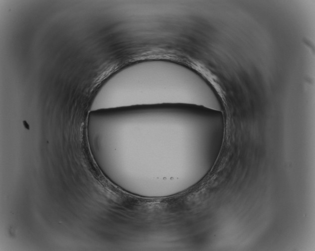 X0000092030153200709061358