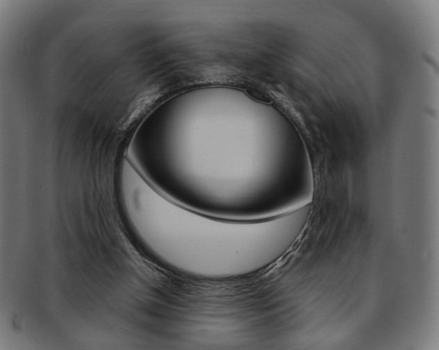 X0000092030154200709061358