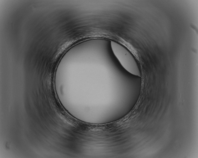 X0000092030155200709061358