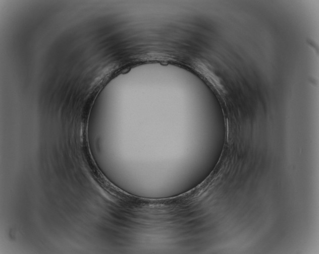 X0000092030157200709061358