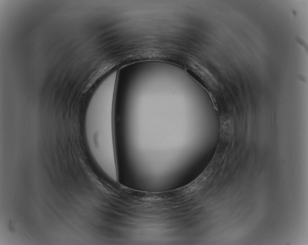 X0000092030158200709061358