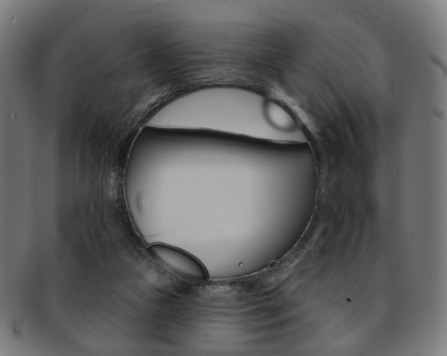 X0000092030161200709061358