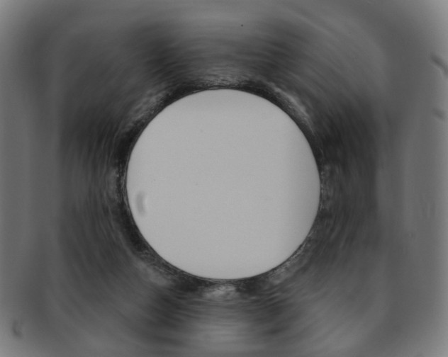 X0000092030162200709061358