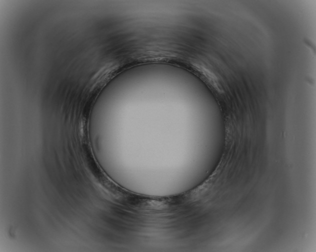 X0000092030166200709061358
